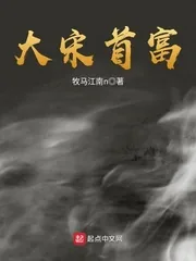 《大宋首富》小说封面