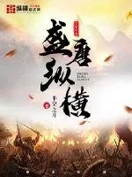 《盛唐纵横》小说封面