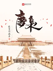 《唐枭》小说封面