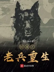 《抗战之老兵重生》小说封面