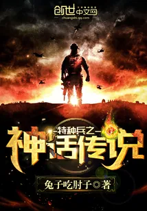 《特种兵之神话传说》小说封面