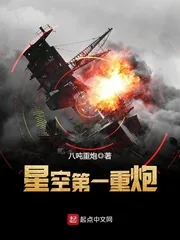《星空第一重炮》小说封面