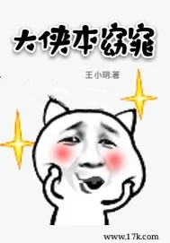 《大侠本窈窕》小说封面