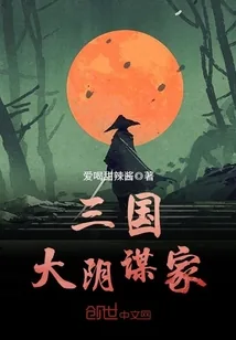 《三国大阴谋家》小说封面