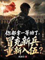 《你都拿一等功了，冒充新兵重新入伍？》小说封面
