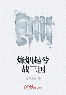 《烽烟起兮战三国》小说封面