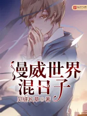 《漫威世界混日子》小说封面