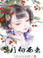 《明月向西去》小说封面