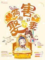 《两害相权娶为妻》小说封面