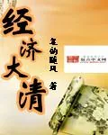 《经济大清》小说封面