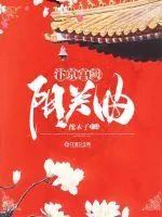 《汴京宫阙：阳关曲》小说封面
