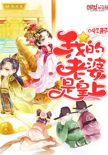 《我的老婆是皇上》小说封面