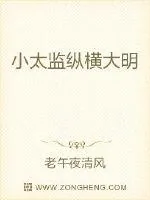 《小太监纵横大明》小说封面