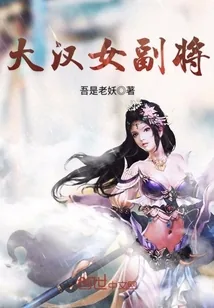 《大汉女副将》小说封面