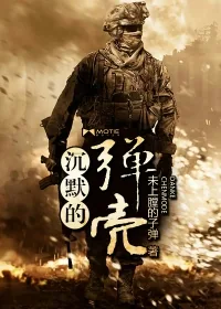 《沉默的弹壳》小说封面