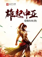 《雄起中亚》小说封面