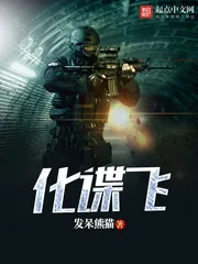 《化谍飞》小说封面
