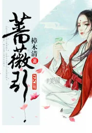 《蔷薇引》小说封面
