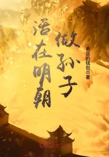 《活在明朝做孙子》小说封面