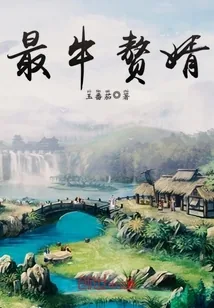 《最牛赘婿》小说封面