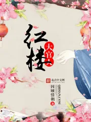 《红楼大官人》小说封面