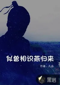 《似曾相识燕归来》小说封面
