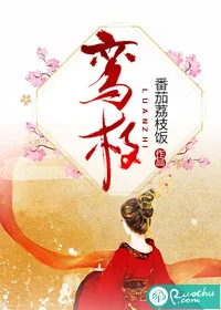 《鸾枝》小说封面