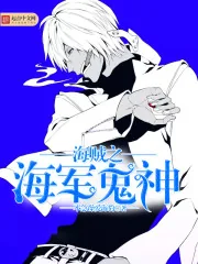 《海贼之海军鬼神》小说封面