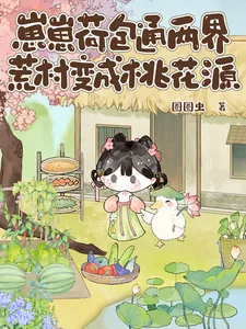 《崽崽荷包通两界，荒村变成桃花源》小说封面