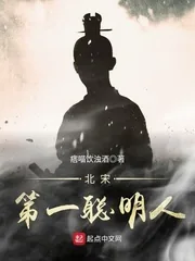 《北宋第一聪明人》小说封面