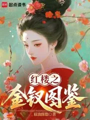 《红楼之金钗图鉴》小说封面