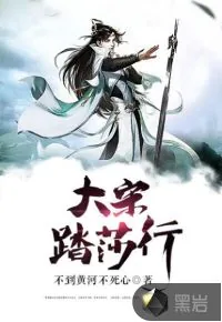 《大宋踏莎行》小说封面