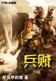 《兵贼》小说封面