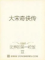 《大宋奇侠传》小说封面