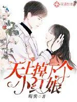 《天上掉下个小红娘》小说封面