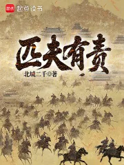 《匹夫有责》小说封面