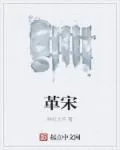 《革宋》小说封面