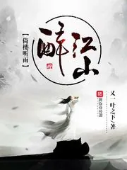 《倚楼听雨醉江山》小说封面