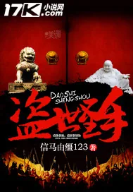 《盗世圣手》小说封面