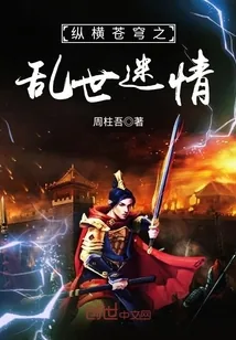 《纵横苍穹之乱世迷情》小说封面