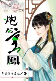 《炮龙烹凤》小说封面