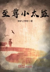 《至尊小太监》小说封面