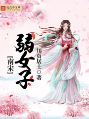 《南宋弱女子》小说封面