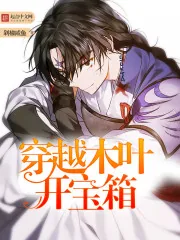 《穿越木叶开宝箱》小说封面