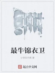 《最牛锦衣卫》小说封面