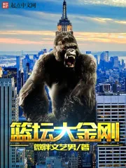 《篮坛大金刚》小说封面