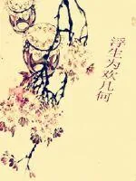 《浮生为欢几何》小说封面
