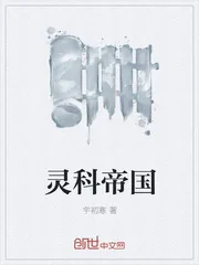 《灵科帝国》小说封面