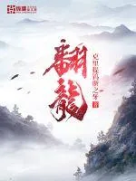 《翻龙》小说封面