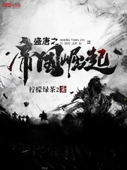 《盛唐之帝国崛起》小说封面